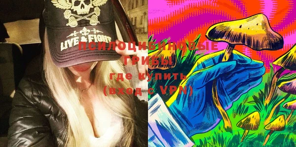 молекула духа Алексеевка