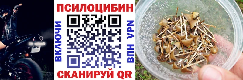 Галлюциногенные грибы GOLDEN TEACHER  МЕГА ONION  Андреаполь 